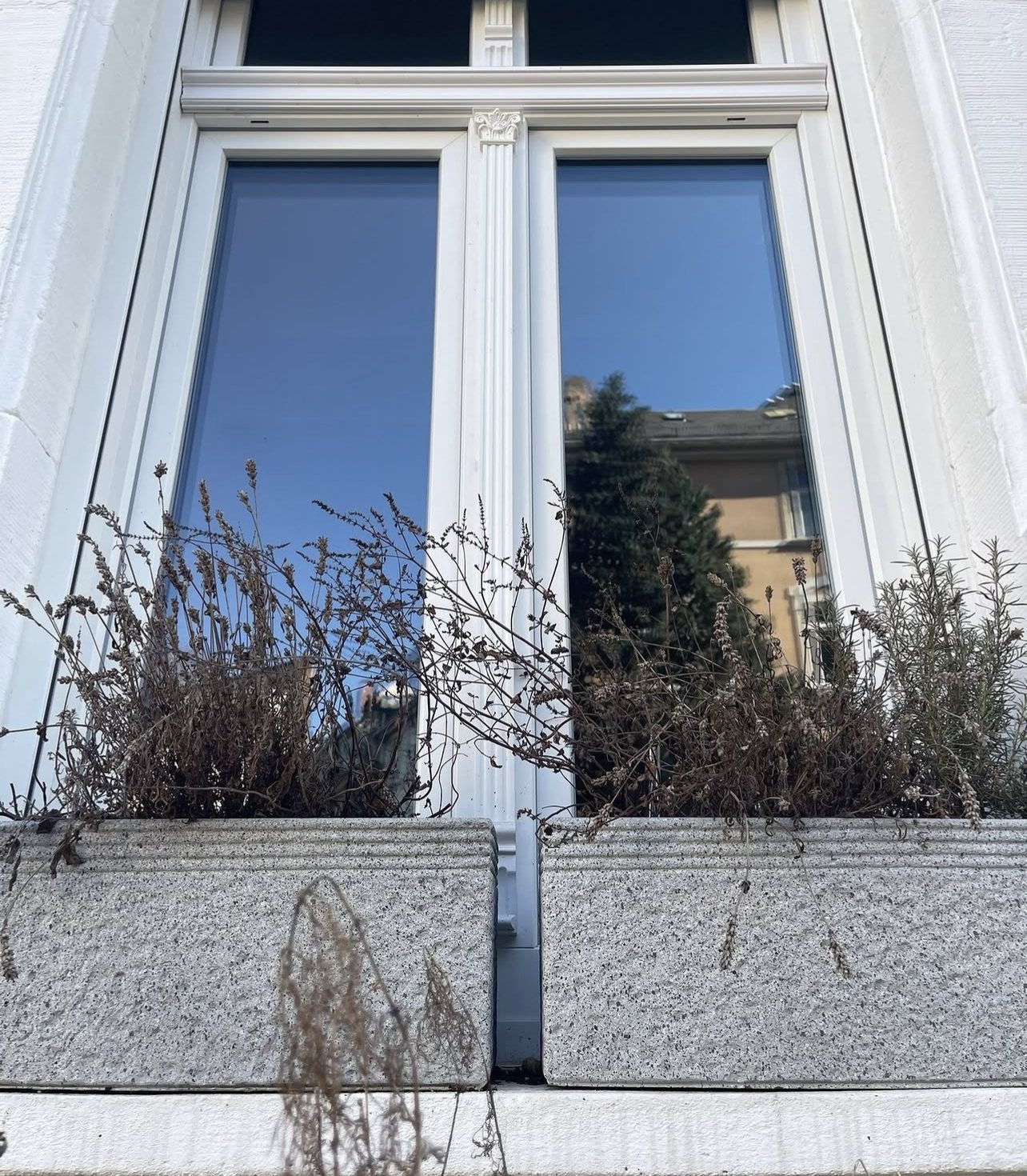 Detailaufnahme eines neuen Kunststofffensters mit weißem Zierpfosten und ornamentiertem Kapitell zwischen den Flügeln